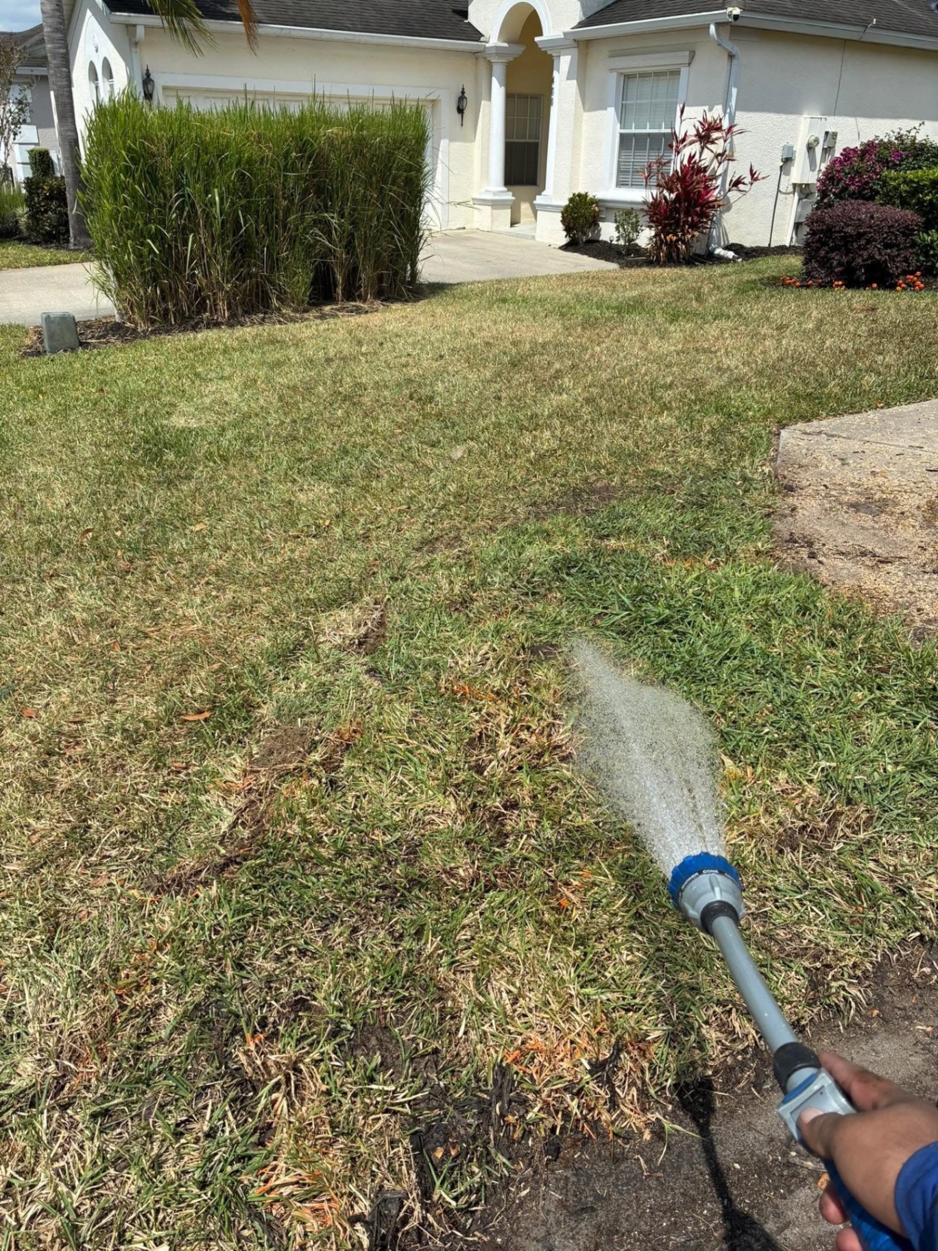 Sod Installation